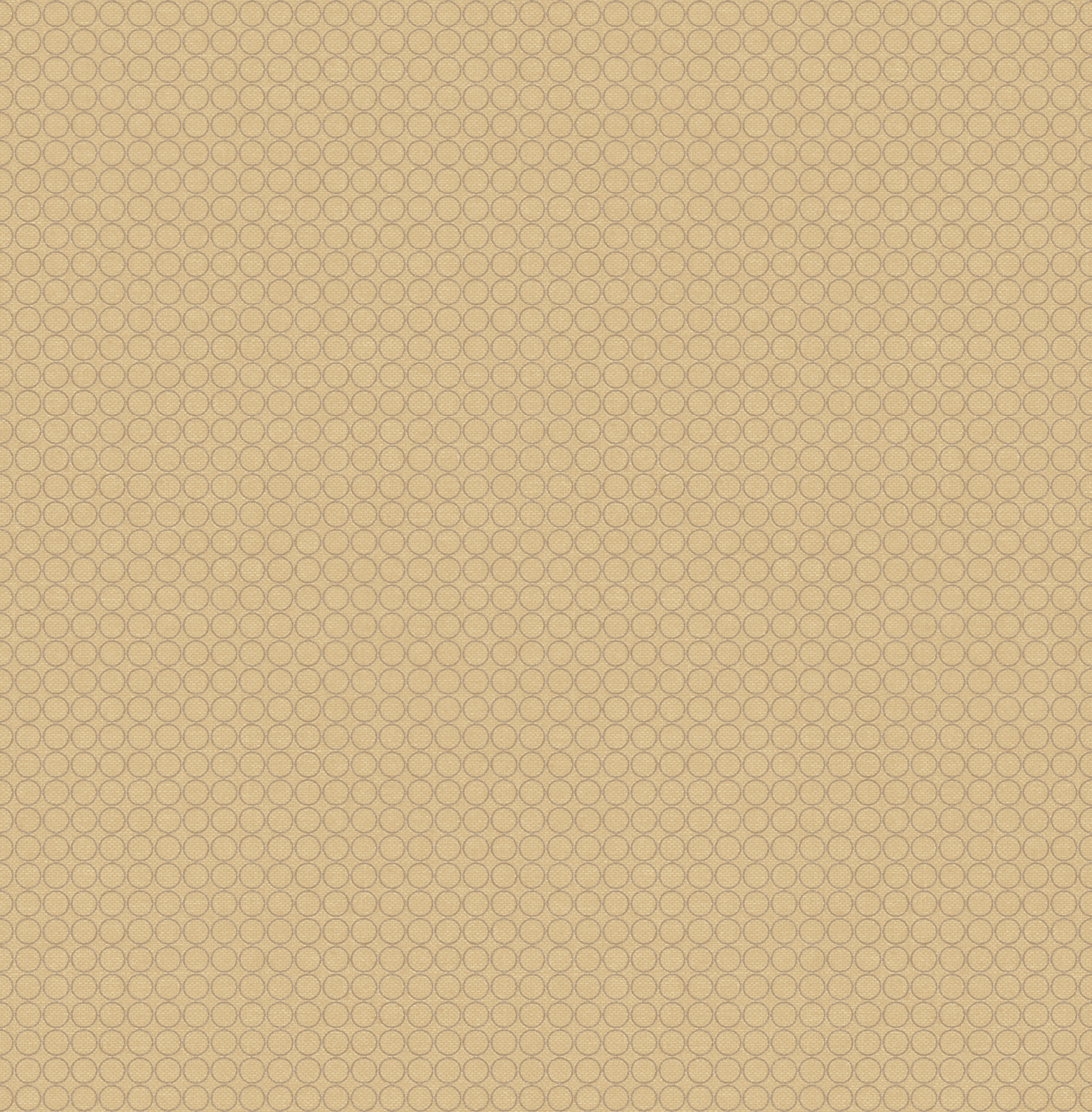 FR61709