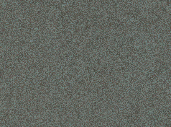 IPA509