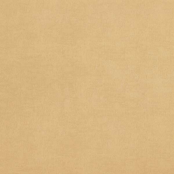 46004---Raisa