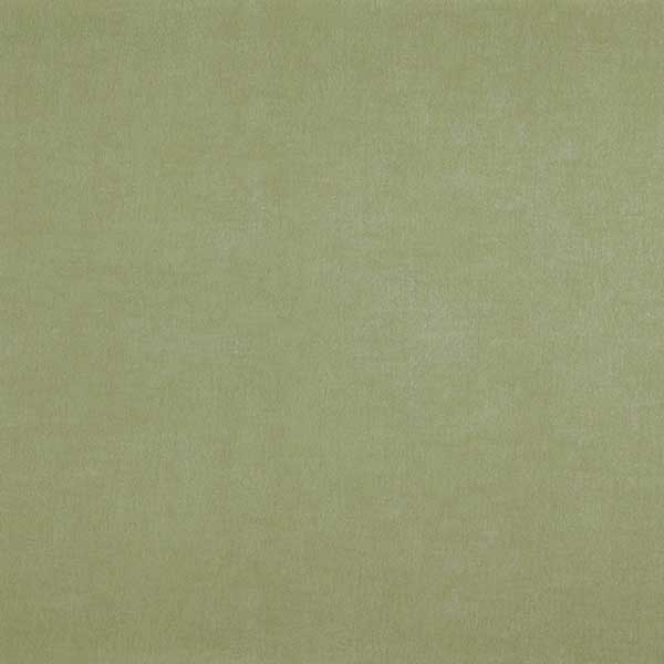48474---Cypress
