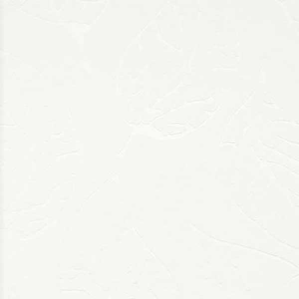46302-500x500