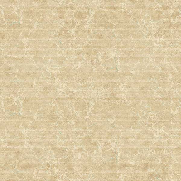 کاغذ ساده پتینه تَرَک