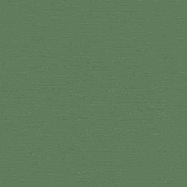 قیمت کاغذدیواری سبز لجنی