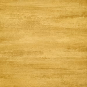 کاغذدیواری پتینه بلژیکی PLAINS&MURALS کد PM1206