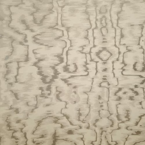 160210504 کاغذدیواری طرح دار.jpg
