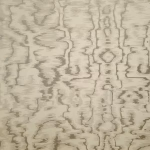 کاغذدیواری طرح دار اروپایی Rose more کد 160210504